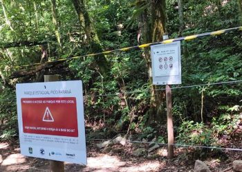 IAT e Polícia Militar multam 15 pessoas por acesso irregular ao Pico Paraná em um dia