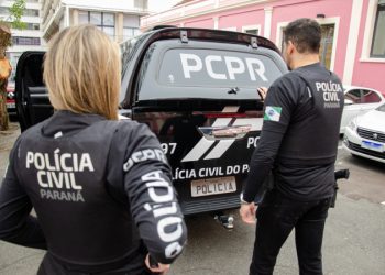 PCPR e GCM apreendem plantação de maconha e prendem homem em flagrante em Araucária