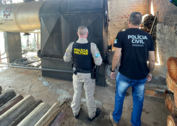 PCPR e PMPR incineram 20 quilos de drogas em Iretama