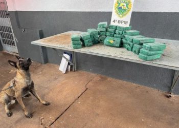 Polícia Militar apreende grande quantidade de crack em fundo falso de veículo e prende traficante em Maringá