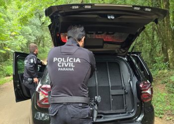 PCPR prende homem condenado por estupro de vulnerável em Araucária
