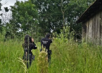 PCPR prende homem por posse ilegal de arma de fogo em Araucária