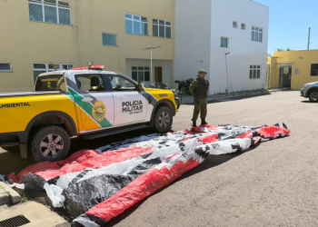 PMPR detém três homens e apreende balão próximo ao Aeroporto Afonso Pena