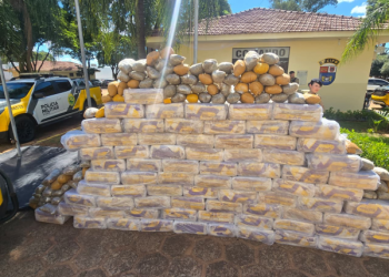 Polícia Militar apreende mais de 1 tonelada de maconha em Planaltina do Paraná