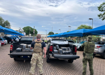 PMPR e PF apreendem 535 quilos de maconha em Mercedes