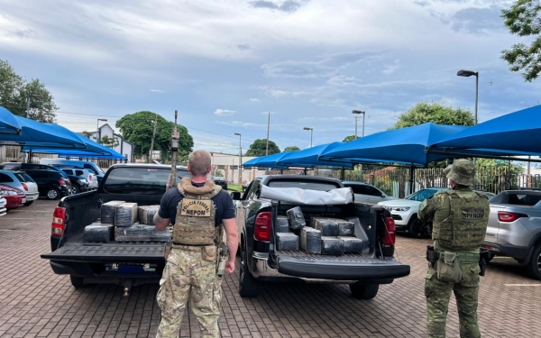 PMPR e PF apreendem 535 quilos de maconha em Mercedes