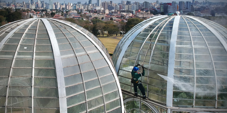 Estufa do Jardim Botânico fecha para visitação durante a limpeza geral dos vidros