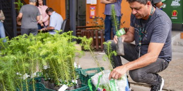 Prefeitura de Curitiba vai distribuir 10 mil mudas de árvores em abril; saiba como garantir a sua