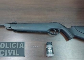 PCPR apreende arma de pressão e projéteis durante investigação de maus-tratos em Cornélio Procópio