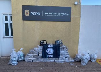PCPR cumpre mandados e apreende mais de 380 quilos de drogas em Cascavel