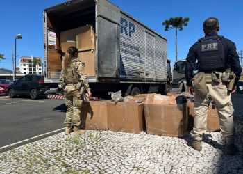 PRF e FICCO/PR apreendem quase 300 kg de skunk no Paraná