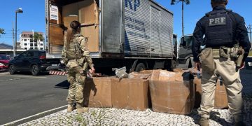 PRF e FICCO/PR apreendem quase 300 kg de skunk no Paraná