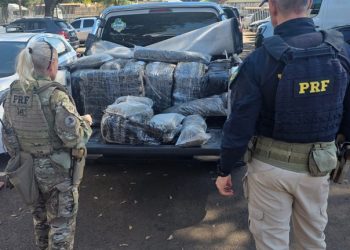 Após perseguição, PRF apreende quase meia tonelada de skunk no Paraná