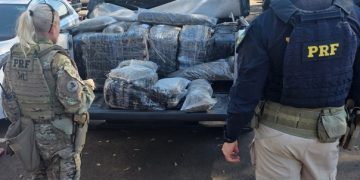 Após perseguição, PRF apreende quase meia tonelada de skunk no Paraná