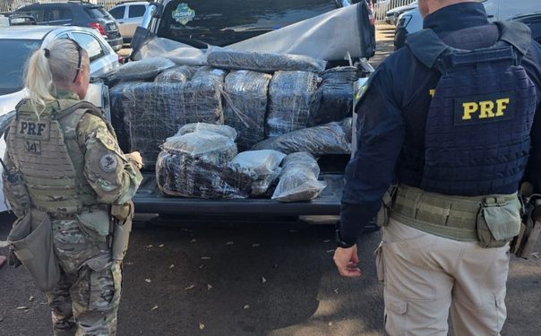 Após perseguição, PRF apreende quase meia tonelada de skunk no Paraná