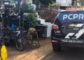PCPR prende homem por receptação e recupera bicicleta furtada em Francisco Beltrão