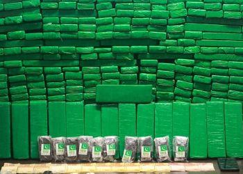 Ação integrada entre guardas municipais resulta na apreensão de mais de 200 quilos de maconha em Campo Largo