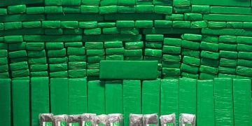 Ação integrada entre guardas municipais resulta na apreensão de mais de 200 quilos de maconha em Campo Largo