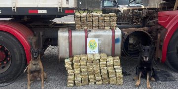 Ação da CIOC e Polícia Federal apreende 130 quilos de pasta base de cocaína avaliados em R$ 4 milhões na BR-277