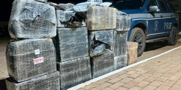 Quase 400 kg de cocaína e haxixe são encontrados escondidos em carga de arroz na BR-369