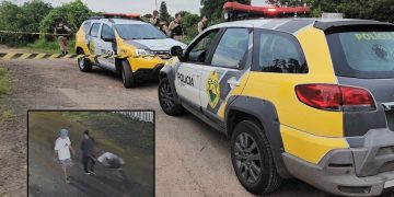 Divisão de Homicídios prende terceiro envolvido na morte de adolescente na CIC