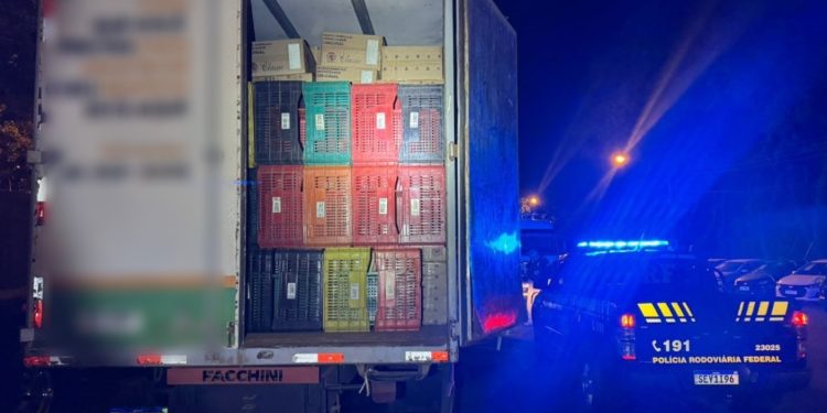 PRF apreende 350 mil maços de cigarros em caminhão na BR-163, em Guaíra
