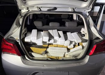 Receita Federal apreende 220 kg de maconha na BR-277