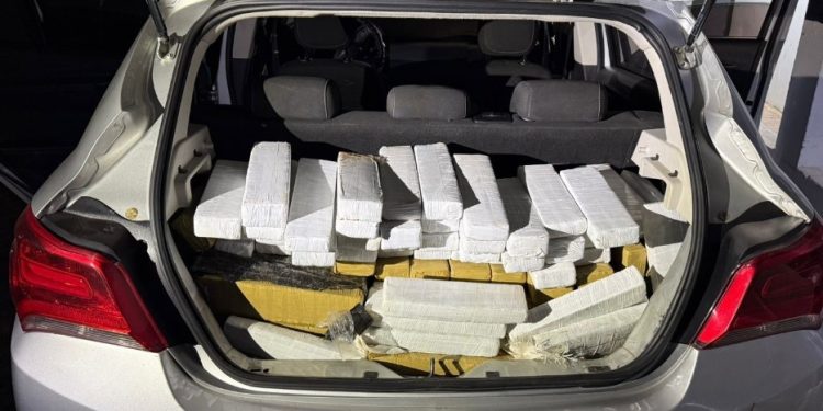 Receita Federal apreende 220 kg de maconha na BR-277