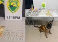 Operações do 13° Batalhão e da CIOC no Parolin resultam em prisões e apreensão de drogas em Curitiba
