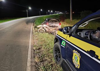 Motociclista morre após colisão na BR-153 e motorista é preso por embriaguez