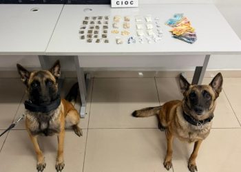 Mulher é presa após resistir à abordagem e cães da CIOC localizam drogas no Cajuru