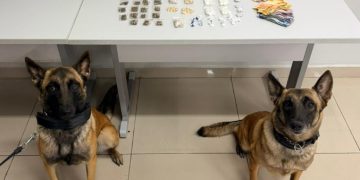 Mulher é presa após resistir à abordagem e cães da CIOC localizam drogas no Cajuru