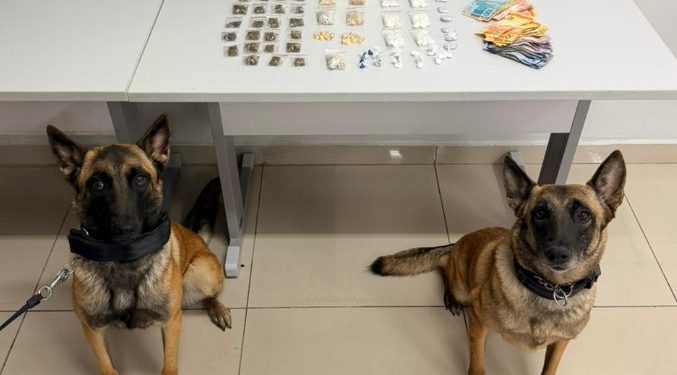 Mulher é presa após resistir à abordagem e cães da CIOC localizam drogas no Cajuru