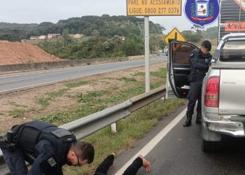 Guarda Municipal recupera Hilux furtada e prende indivíduo em Campo Largo