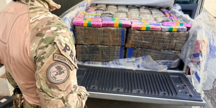 Após acompanhamento tático, PRF apreende quase uma tonelada de maconha