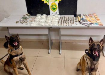 Cães da CIOC localizam mais de 1,4 quilo de cocaína e homem é preso por tráfico no Cajuru