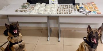 Cães da CIOC localizam mais de 1,4 quilo de cocaína e homem é preso por tráfico no Cajuru