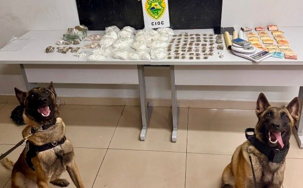 Cães da CIOC localizam mais de 1,4 quilo de cocaína e homem é preso por tráfico no Cajuru