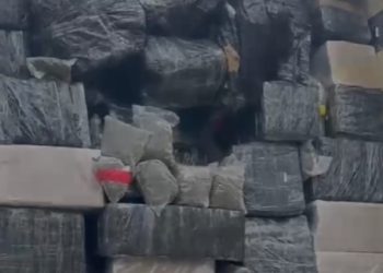 FICCO apreende mais de 2,5 toneladas de maconha em caminhão na BR-277 em Guarapuava