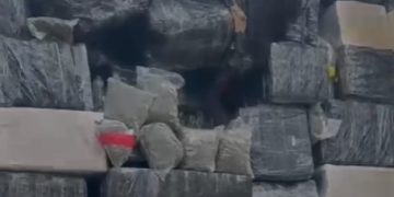 FICCO apreende mais de 2,5 toneladas de maconha em caminhão na BR-277 em Guarapuava