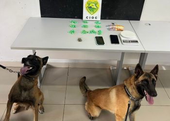 Duas mulheres são presas e CIOC com ajuda de cães encontra cocaína em fogão
