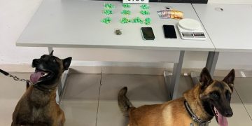 Duas mulheres são presas e CIOC com ajuda de cães encontra cocaína em fogão