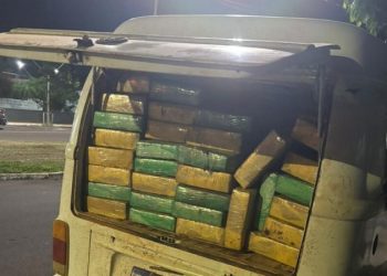 PCPR, PMPR e GCM apreendem mais de meia tonelada de maconha em Altônia