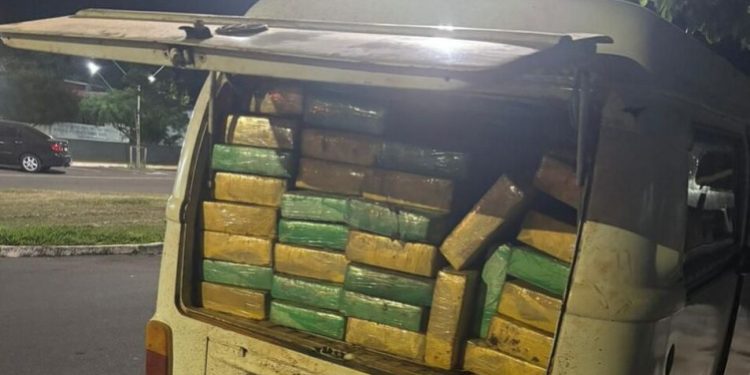 PCPR, PMPR e GCM apreendem mais de meia tonelada de maconha em Altônia