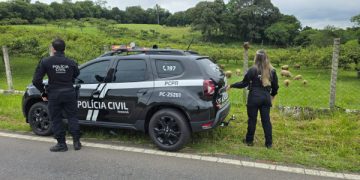 PCPR prende homem em flagrante por crimes no contexto de violência doméstica em Araucária