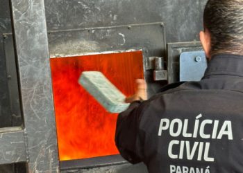 PCPR incinera cerca de 300 quilos de drogas em Fazenda Rio Grande