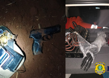 PRF frustra roubo a ônibus e prende homem em Campo Mourão (PR)