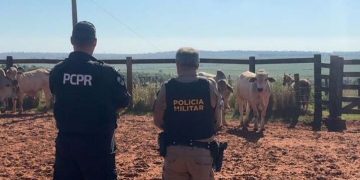 PCPR e PMPR recuperam bovinos que haviam sido furtados em Alto Paraíso