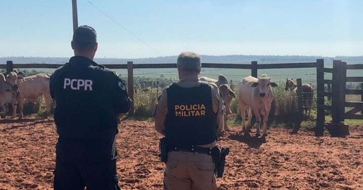 PCPR e PMPR recuperam bovinos que haviam sido furtados em Alto Paraíso