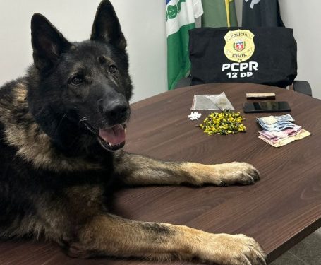 PCPR prende homem em flagrante por tráfico de drogas no bairro São Braz